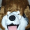 avatar of Ruff