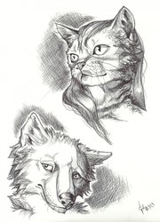 Afflicted portraits 3/4 by Sparkyopteryx