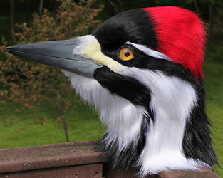Wendy the Pileated Woodpecker Mask