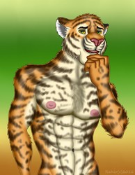 Tiger Hunk