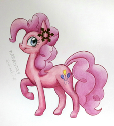 pink pony