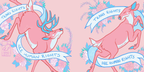 Queer Deer say Trans Rights (Pink)