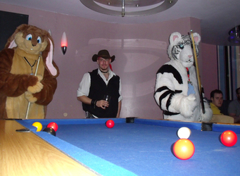 Tera the lion and Thunder the bunny playing pool