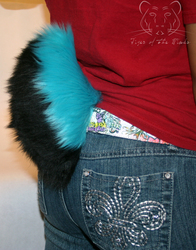 Short Black and Blue Tail (SOLD)