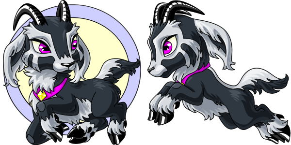 Most recent image: sable as a neopet
