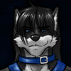 avatar of Renaissance Wolf