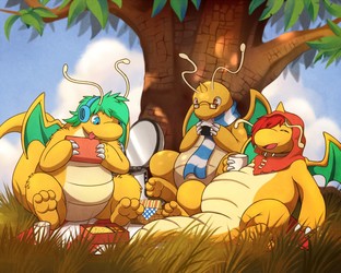 Dragonite picnic