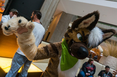 From MWFF