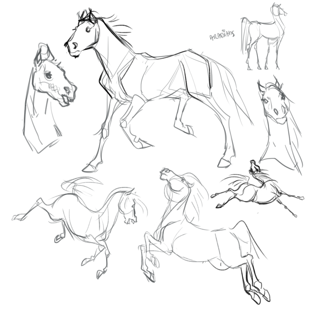 Equines