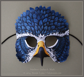 Northern Goshawk - Leather Mask