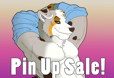 Pin up Sale!