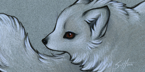 Gift - Arctic Fox