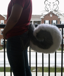 Commission - Curled Husky Tail (Left)
