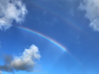 Hawaiian rainbow close up