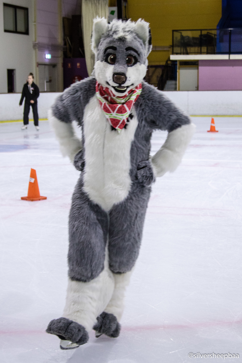 Furries on Ice 2017: Ice Skating Husky