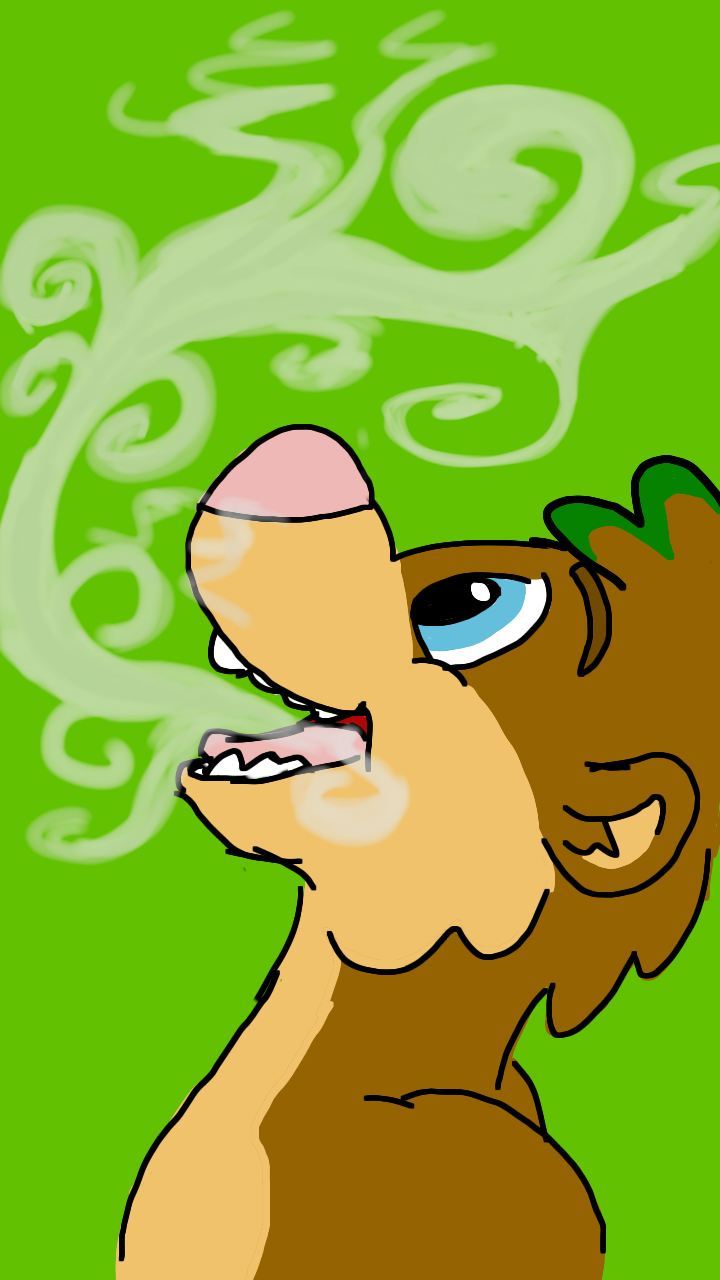 Most recent image: Smoky Guil
