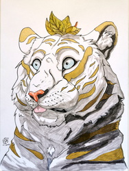 Tiger derp