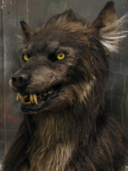 Snarly werewolf mask 