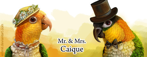 Mr. and Mrs. Caique