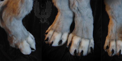 Anthro feetpaws for Akersent
