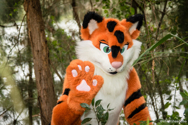 Penrith Fur Meet 2018: Kat Aclysm in the Bushes