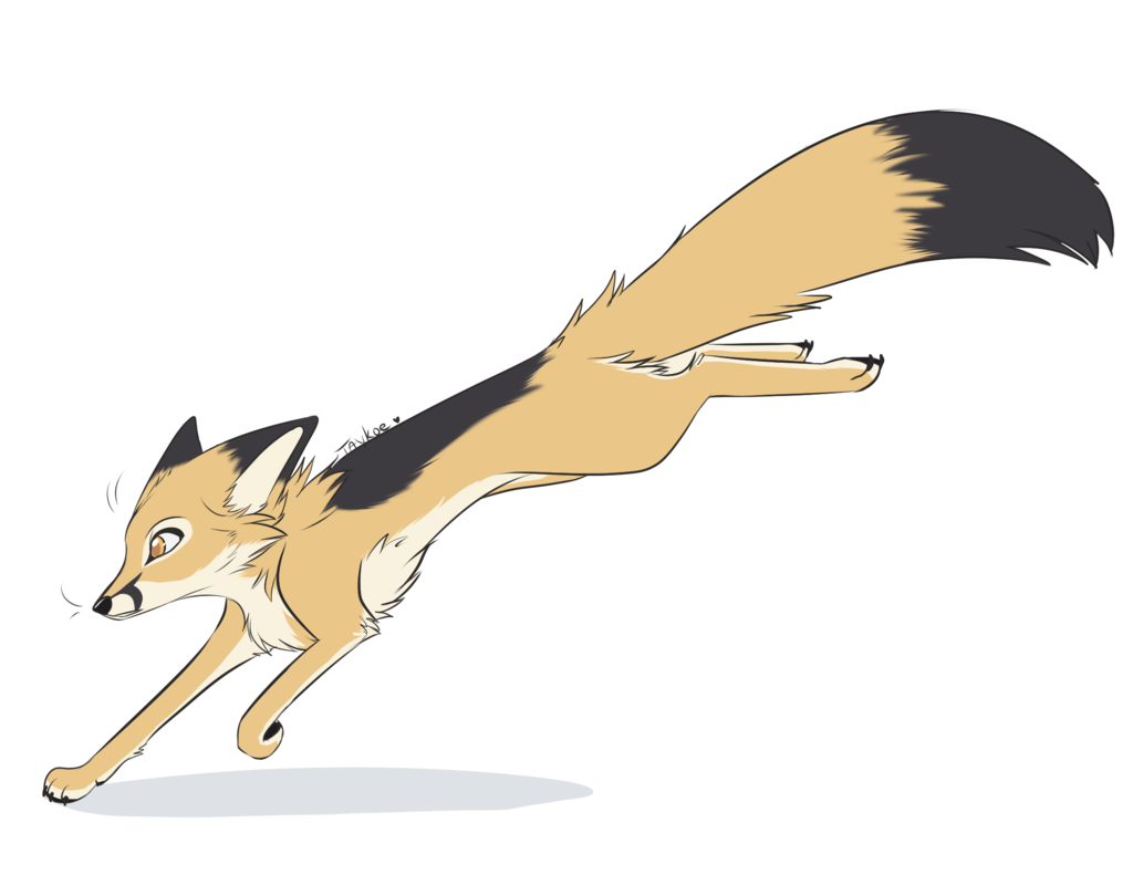 Swift Fox by Taykoe