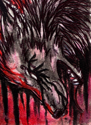 Wolf ACEO