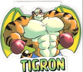 BIG GUY Tigron