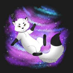Space Fox in White