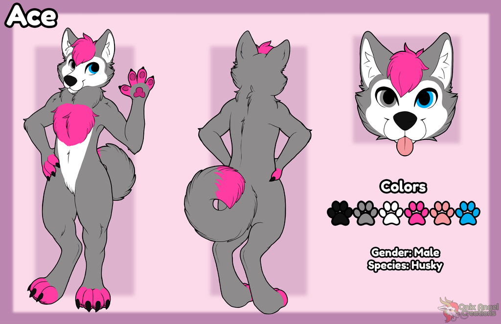 Commission: Ace reference sheet
