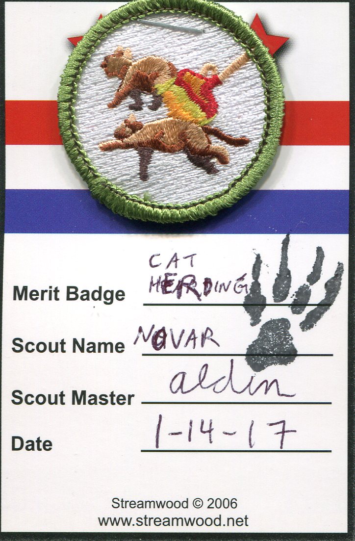 Novar Lynx has earned "Cat Herding" Merit Badge