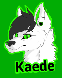 Kaede Headshot Badge