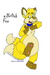 British Fox Gift