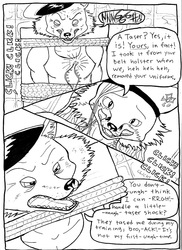 Outfoxing the 5-0 (Page 10)