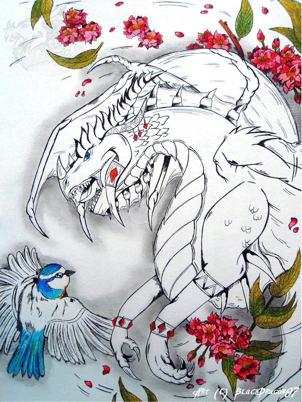 [Indian Ink art] Dragon and Spring