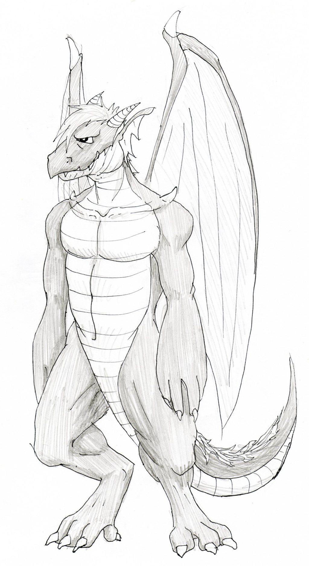 Dragon Mid-Form
