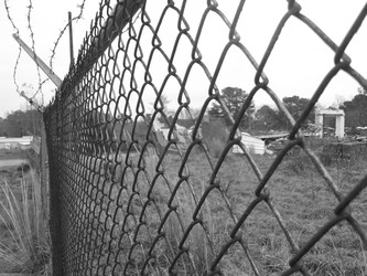fenced in.....or out