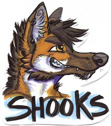 Shooks