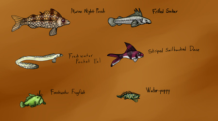 Interesting Small Fish Species of Mara Isle