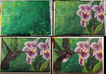 Stages of Acrylic Hummingbird Painting