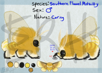 Southern Flannel Mothitty [com]