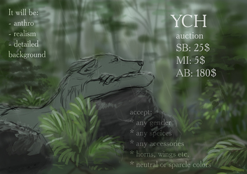 YHC auction [OPEN] - rainy forest