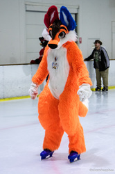 Furries on Ice 2017: Ozzi Foxy Ice Skating