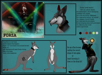 Forza Ref Sheet! (By Xtrasis)