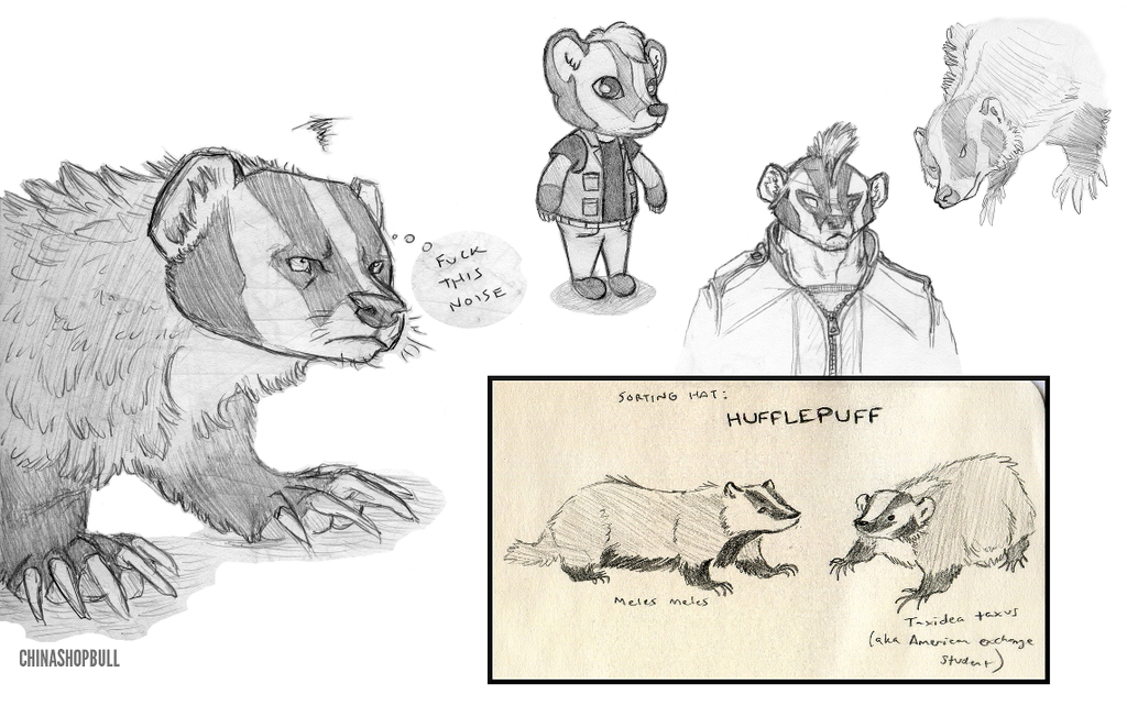 Sketchdump: badgers