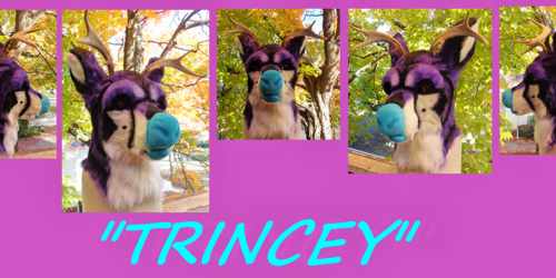 Trincey Monster deer