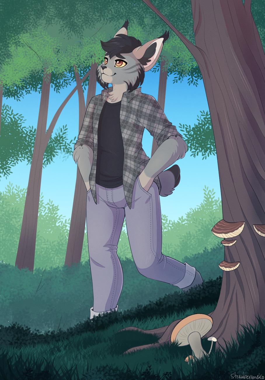 Through the woods - Commission