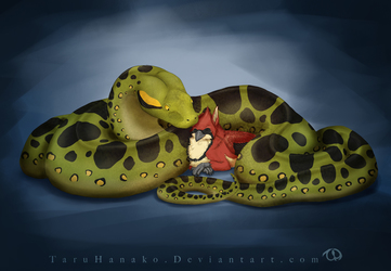 Snake cuddles