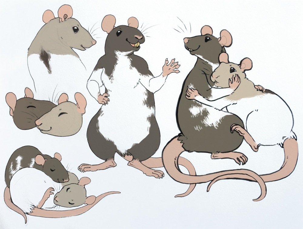Ratties for Ont