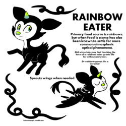 Rainbow Eater